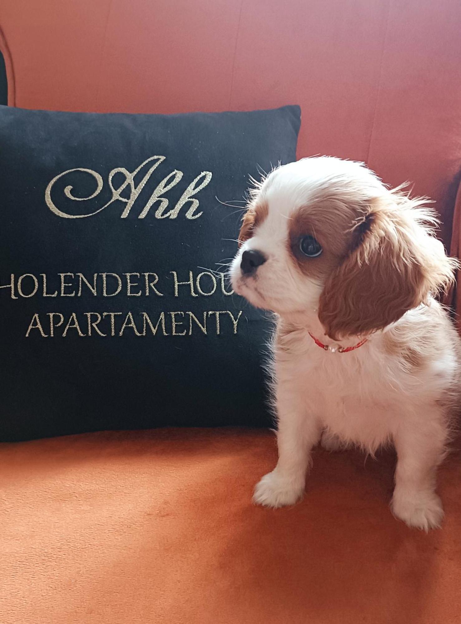 Apartamenty Holender House Choczewo Exteriör bild